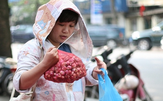 Người Hà Nội đội nắng mua hành tím ủng hộ nông dân Sóc Trăng